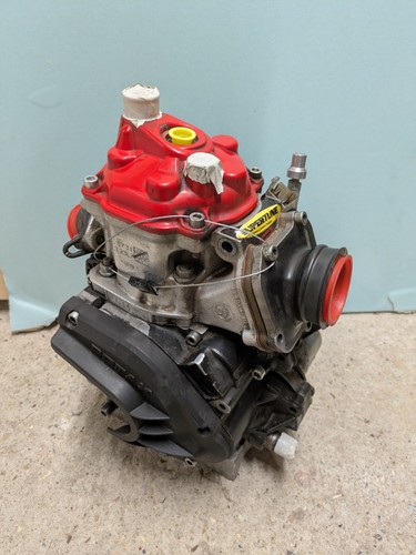Junior rotax evo 125cc - junior,
