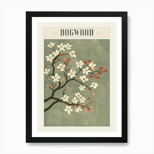 Dogwood tree minimal japandi - tree,