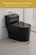 Black Toilet Basin