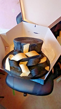 Jacques Vert Black & Cream Hat + Box Mother Of The Bride Or Ascot