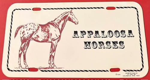 Appaloosa horses booster - horses,