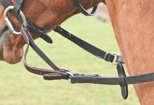 Shires flexi rein - flexi,