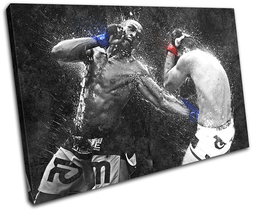Jon jones shogun rua - jon, ufc