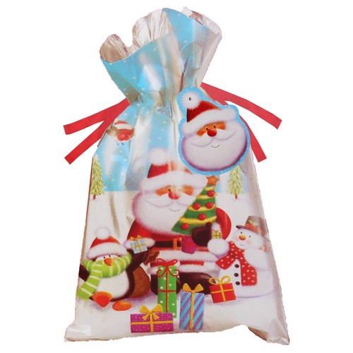Christmas present sack and - christmas,
