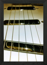 Danelectro 84 Strat Framed