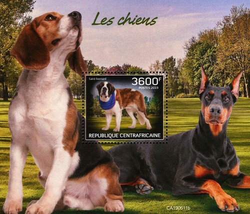 Dogs bernard doberman - dogs, (st