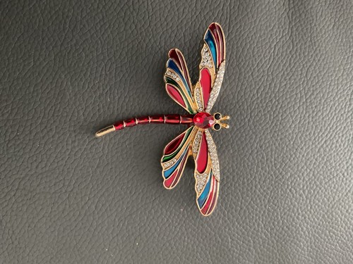 Red coloured dragonfly - coloured, brooch