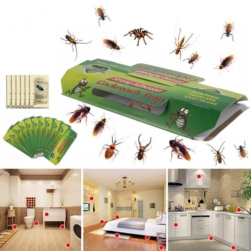 40x cockroach traps - 10-40x,