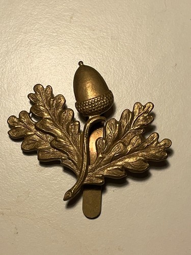 South nottinghamshire hussars - south,