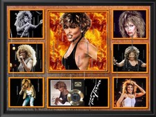 Tina Turner A4 art print unframed laminated