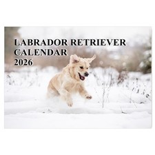 Yellow Labrador Calendar 2026