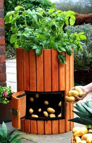 Wooden potato barrel - wooden, access