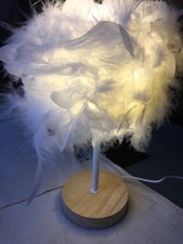 Feather led USB charged  lamp