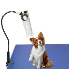 Dog hair dryer - hair, gooseneck