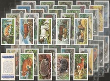 BROOKE BOND (TEA)-FULL SET-