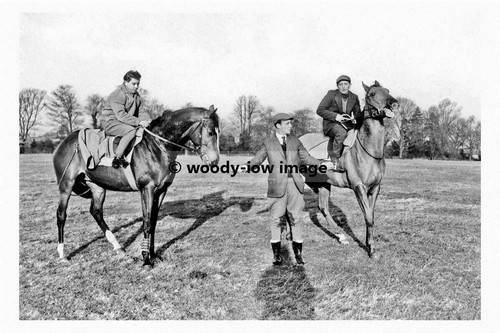 Pt8087 beverley kings - ,,