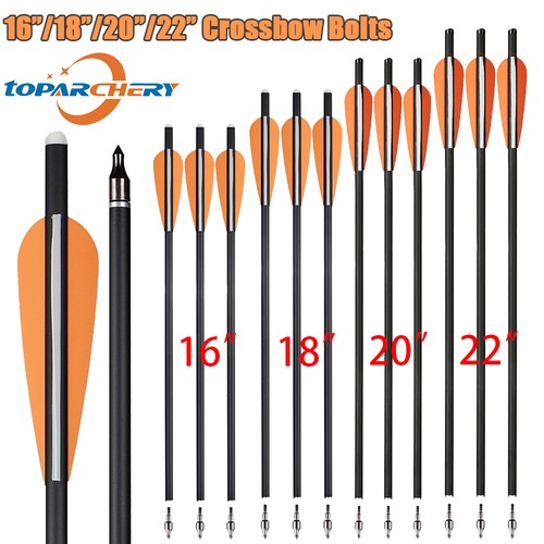 Archery 22 carbon - archery,