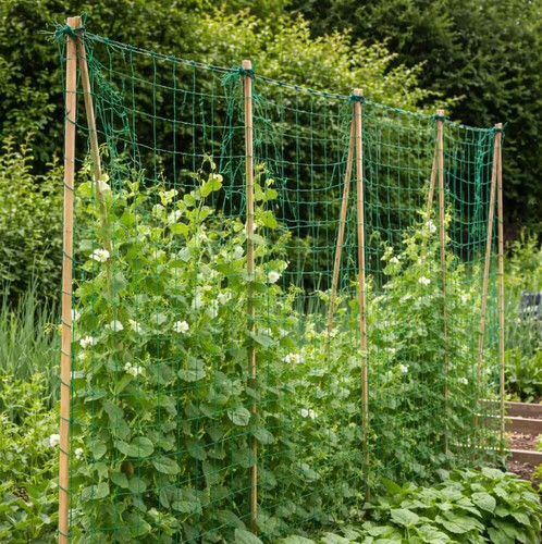Jute pea and bean netting - jute,