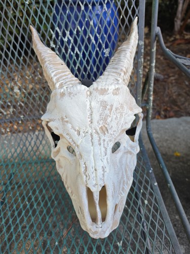 Goat bone skull halloween - goat,