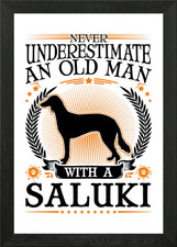 Saluki Old Man Persian Framed