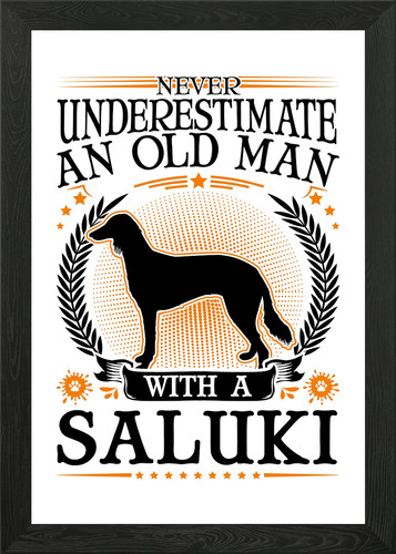 Saluki old man persian - old,