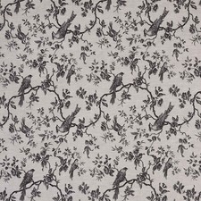 French Isabelle Bird Toile