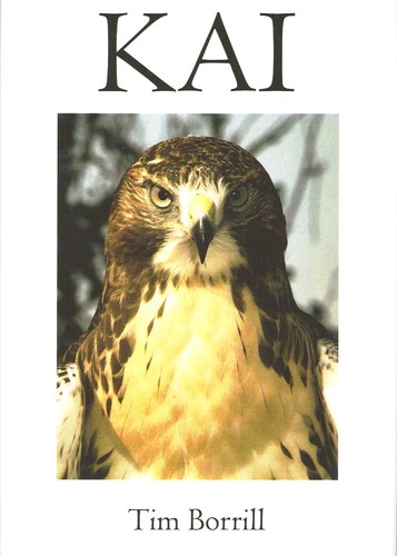 Borrill tim falconry buteo - tim,