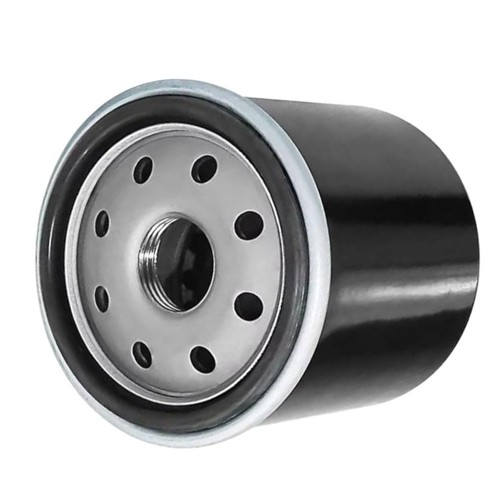 Oil filter for bashan - for, 320