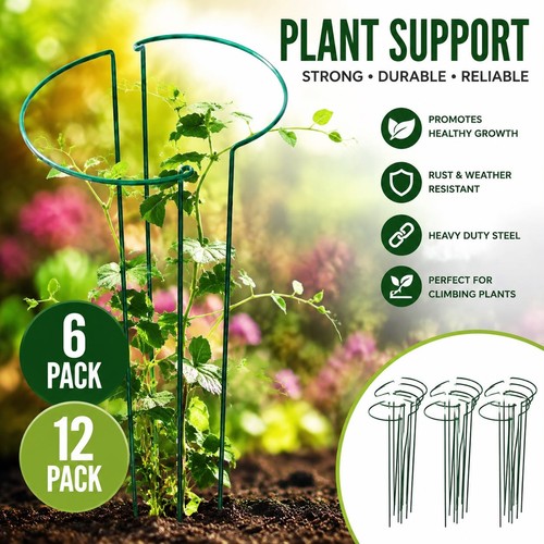Pack heavy duty plant - 12-pack,