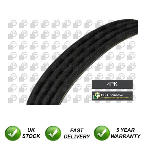 Ribbed drive belt sjr fits - v,
