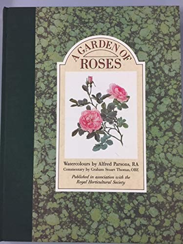 Garden roses - a,