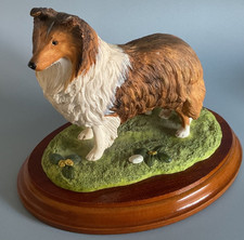 Shetland Sheepdog. Best of