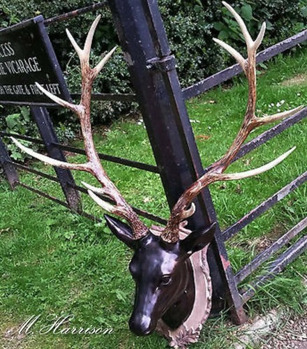 Wall mounted large stag head - wall,
