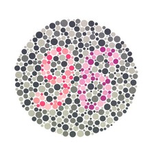 Ishihara Test Book 38 Plates