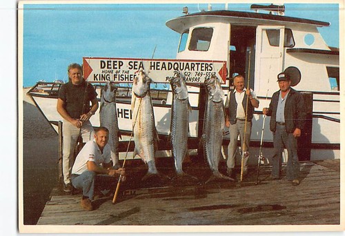 Postcard freshly caught - caught, silver