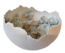 Chessell Studio Pottery Coral