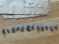 KINGFISHER FEATHERS - Fly