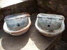 Water bowl cattle - water, sheep