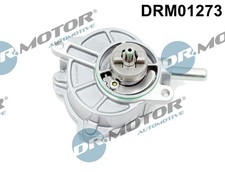 VACUUM PUMP BRAKING SYSTEM