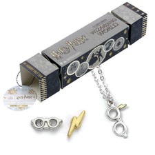 Harry Potter Christmas Gift