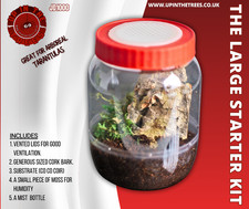 enclosure spiderling tarantula