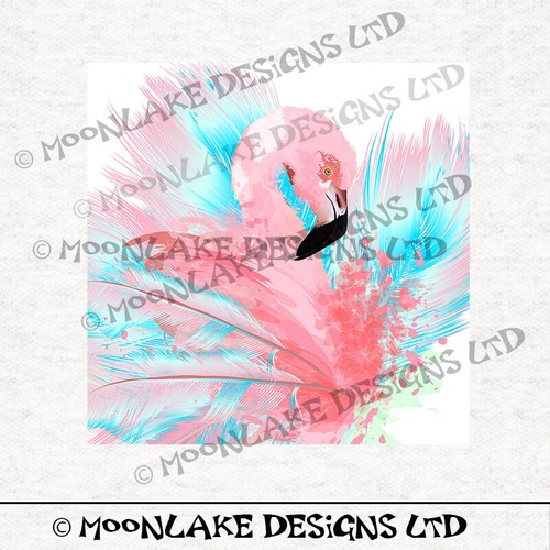 Bird flamingo flourish - bird,