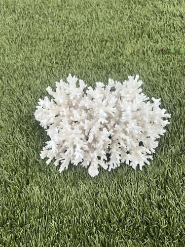 Selency pure white coral real - white,