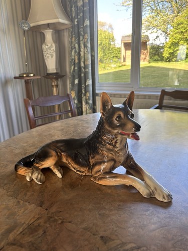 Large goebel german shepherd - german,