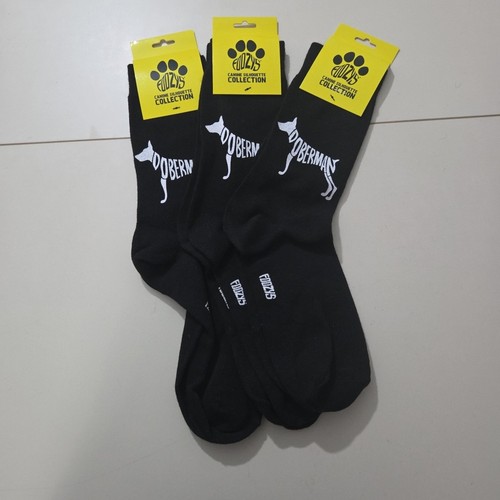 Doberman pinscher dog puppy - pinscher,