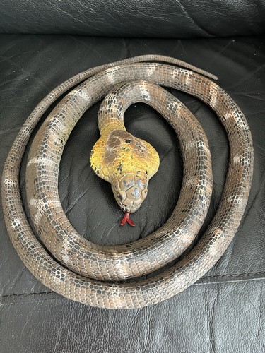 King cobra flexible snake - cobra,