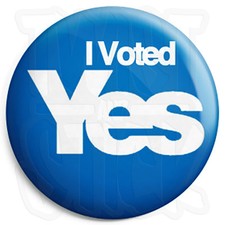 I Voted Yes - Scottish