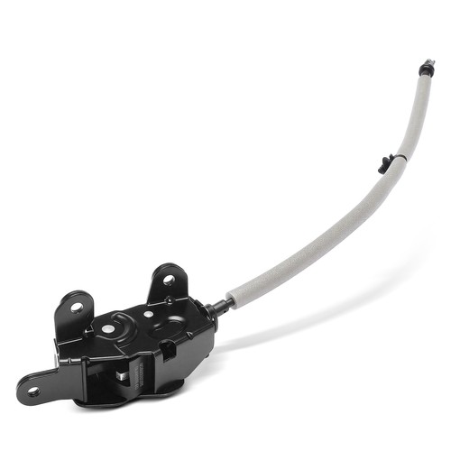Tailgate lock door - lock, for