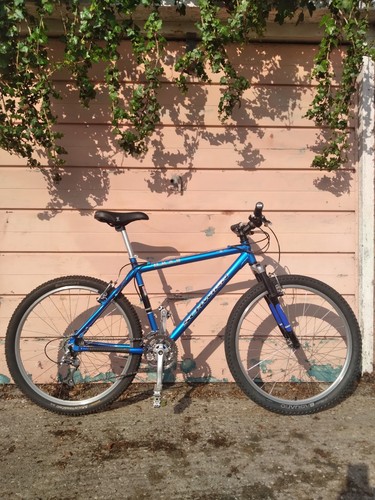 Schwinn moab mountain bike - schwinn,