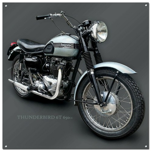 Thunderbird 650cc - thunderbird, 6t